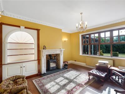 Picture 7